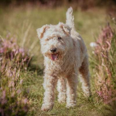 GB Aktivität in Leipzig gesucht-Beitrag-Bild