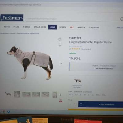 Hirschlausfliegen-Beitrag-Bild