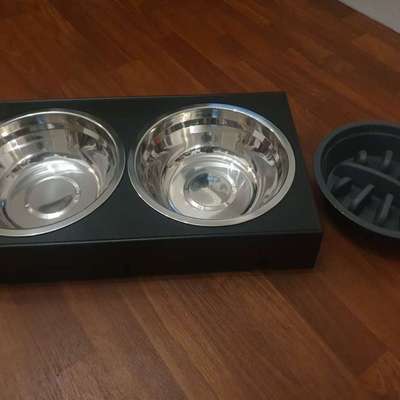 Futterstation-Beitrag-Bild