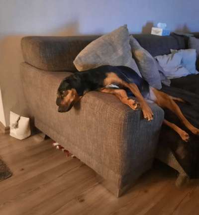 Die unbequemsten und lustigsten Schlafpositionen-Beitrag-Bild