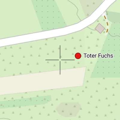 Giftköder-Toter Fuchs-Bild