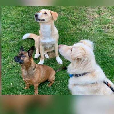 Foto Challenge Nr.: 115-Beitrag-Bild