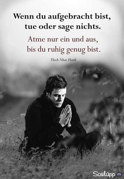 Umgang zwischen Hundehaltern-Beitrag-Bild