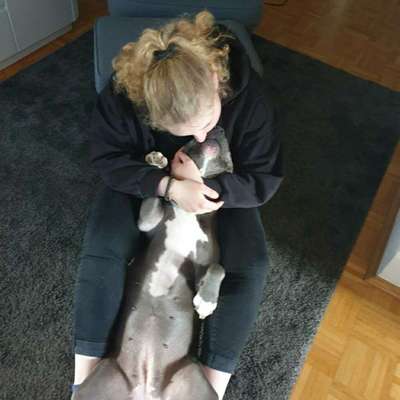 Hundetreffen-Sozial Walk