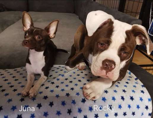 Fotochallenge 130-Beitrag-Bild