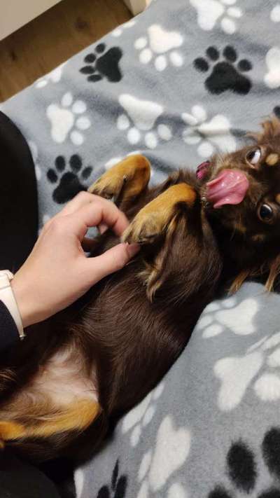 Hier ist der Spaßthread. Zum Schmunzeln und Kaputtlachen-Beitrag-Bild