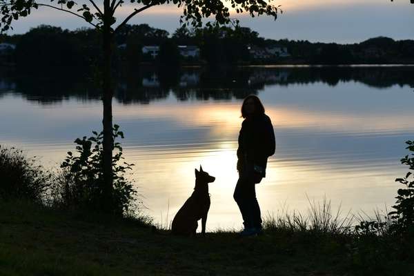 Fotochallenge Nr. 62 Romantische Momente-Beitrag-Bild