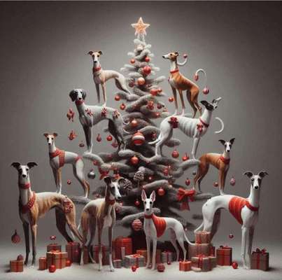 Windhunde - Treffen der besonderen Schönheiten
HERZLICH WILLKOMMEN-Beitrag-Bild