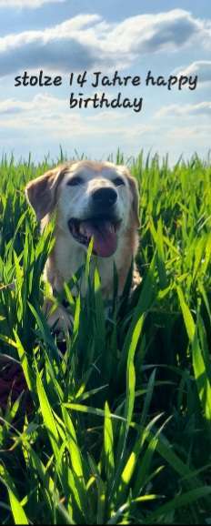 Senioren-Beitrag-Bild