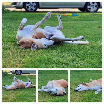 Senioren-Beitrag-Bild