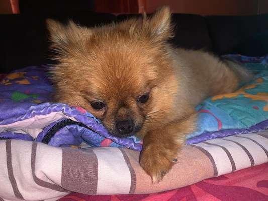 23. Handy Foto-Challenge-Beitrag-Bild