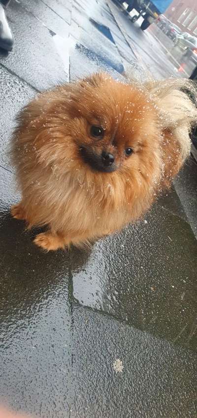 Der erste Schnee, zeigt uns eure tollen Schneemomente-Beitrag-Bild