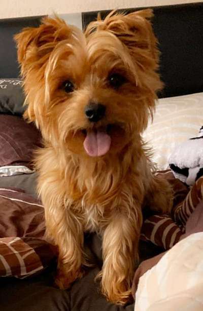 Fotochallange Nr. 57     PORTRÄT.   Beendet!!!!!!!!-Beitrag-Bild