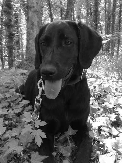 Foto-Challenge 76: Foto in Schwarz-Weiss-Beitrag-Bild