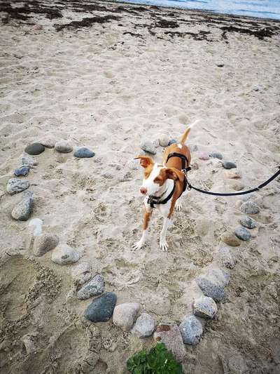 Eure Strandbilder :)-Beitrag-Bild