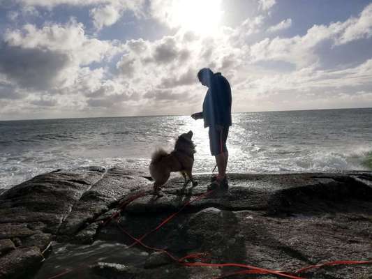 Handy-Foto Challange Nr. 10-Beitrag-Bild