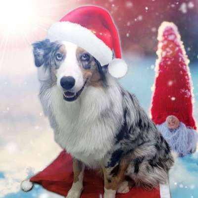 It's beginning to look a lot like.....-Beitrag-Bild