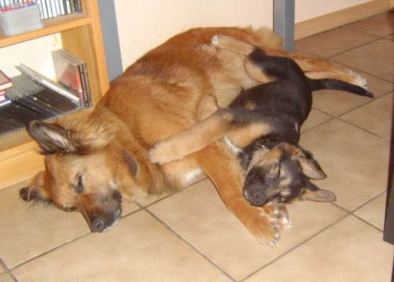 CHALLENGE NR. 34 - Liege-/Schlafpositionen-Beitrag-Bild