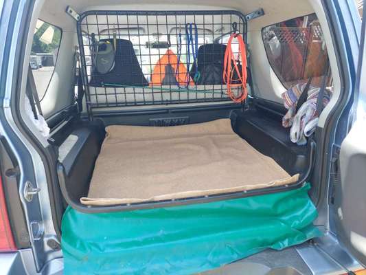 Hundetransport im Auto-Beitrag-Bild