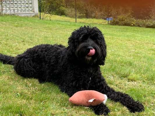 Handyfoto challenge Nr. 13: Waschlappen raus!-Beitrag-Bild