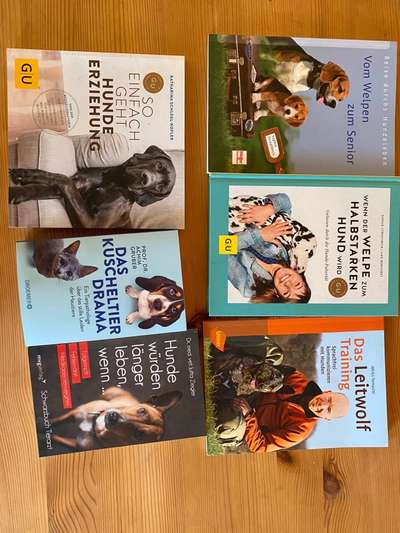 Hunde-Fachliteratur-Beitrag-Bild