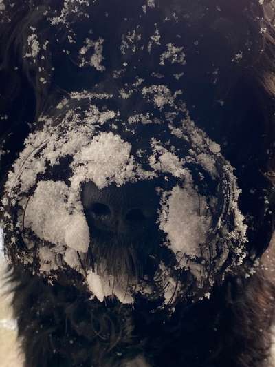 Handy-Foto-Challange Nr.9-Beitrag-Bild