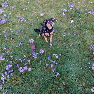 Fotowettbewerb Natur-Beitrag-Bild