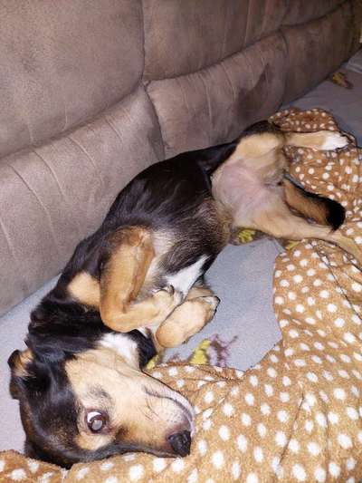 Fotochallenge Nr.65-Beitrag-Bild