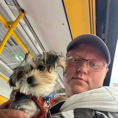 Hundetreffen-Gassi gehen, Spielen, Sonstiges-Bild