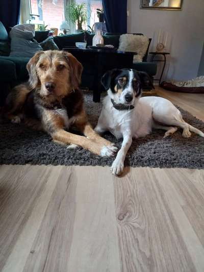 Fotochallenge Nr. 62 Romantische Momente-Beitrag-Bild