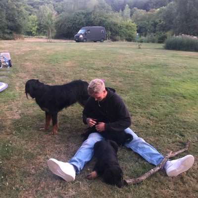 Hundetreffen-Welpentreffen Braunschweig-Profilbild