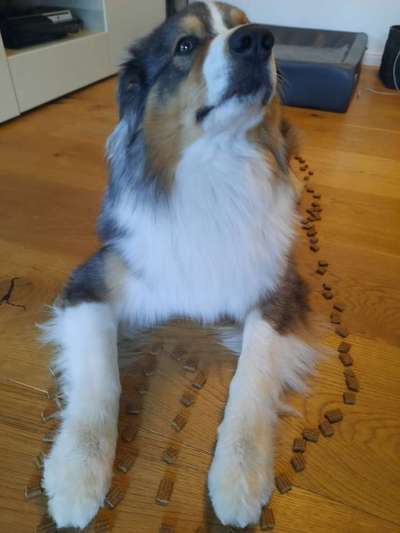 Reico vital - Erfahrungen, Meinungen, Berichte?-Beitrag-Bild