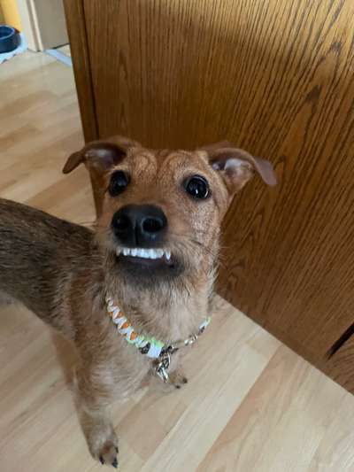 LUSTIGE FOTOS! WER KANN MITHALTEN?-Beitrag-Bild