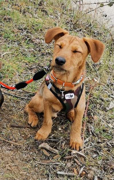 LUSTIGE FOTOS! WER KANN MITHALTEN?-Beitrag-Bild