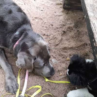 %{de_profession_title}-Learn and Walk-Bild