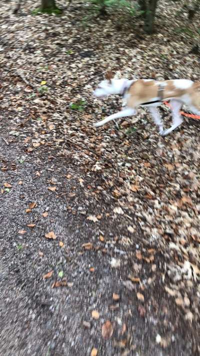 Un...scharf Bilder-Beitrag-Bild