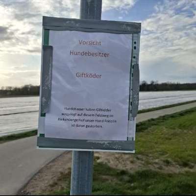 Giftköder-Verdacht auf Giftköder-Bild