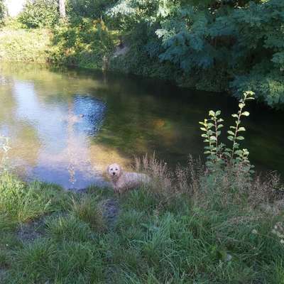 Foto Challenge - BEENDET - bitte aktuelle Challenge nutzen-Beitrag-Bild