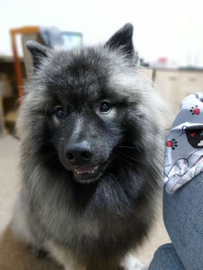 Fotochallange Nr. 57     PORTRÄT.   Beendet!!!!!!!!-Beitrag-Bild