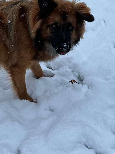 Der erste Schnee, zeigt uns eure tollen Schneemomente-Beitrag-Bild