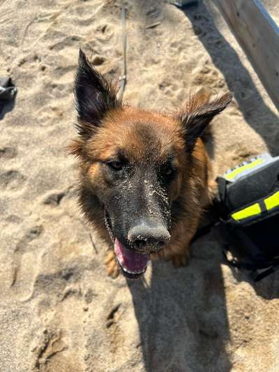 Fotochallenge 110: Lustige und schöne Schnappfotos-Beitrag-Bild