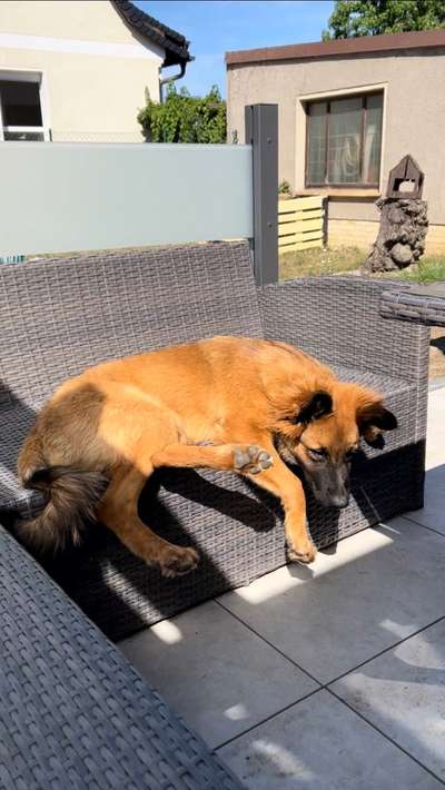 23. Handy Foto-Challenge-Beitrag-Bild