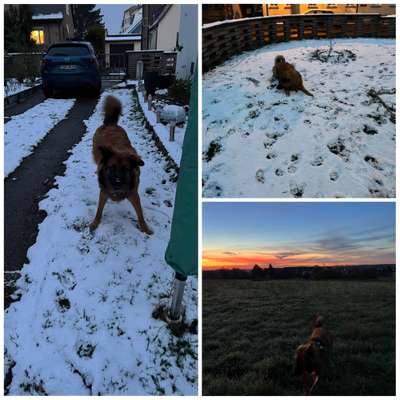 14. Collagen Challenge- Sonnenaufgang & -Untergang-Beitrag-Bild