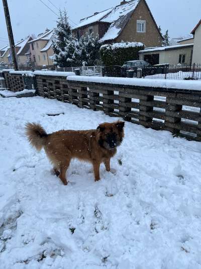 Doppelgänger gesucht !-Beitrag-Bild