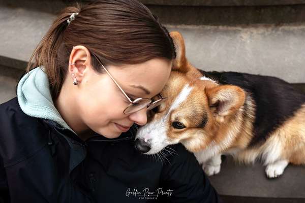 aktuelles Foto Gruppe Corgis 🐾 Welsh Corgi Pembroke & Cardigan | Das Original