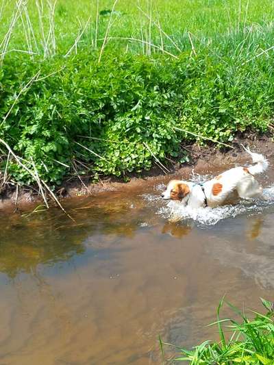 Foto Challenge Nr.133-Beitrag-Bild