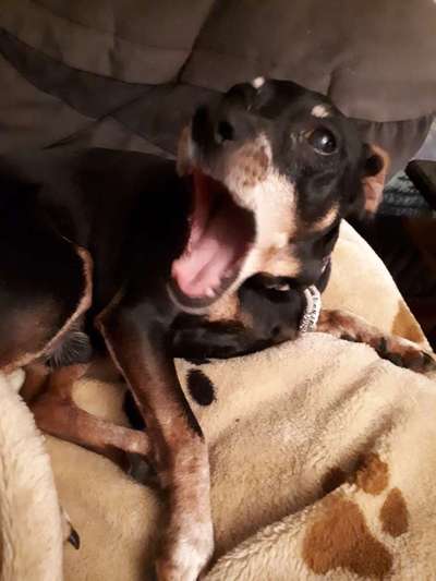 Hier ist der Spaßthread. Zum Schmunzeln und Kaputtlachen-Beitrag-Bild