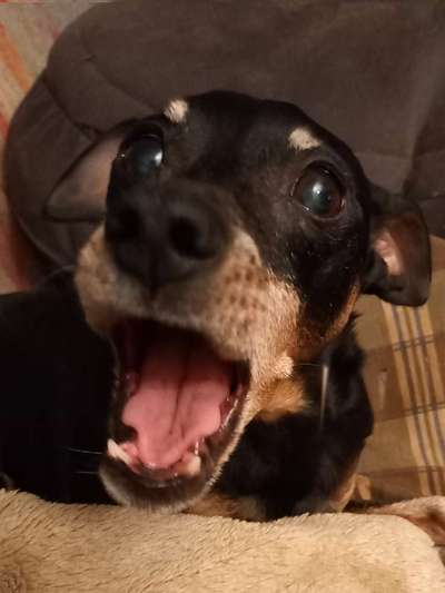 Hier ist der Spaßthread. Zum Schmunzeln und Kaputtlachen-Beitrag-Bild