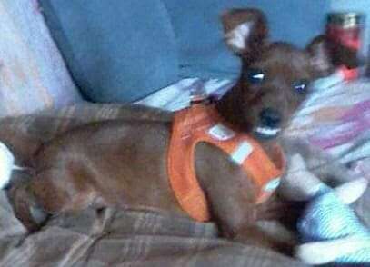 Hier ist der Spaßthread. Zum Schmunzeln und Kaputtlachen-Beitrag-Bild