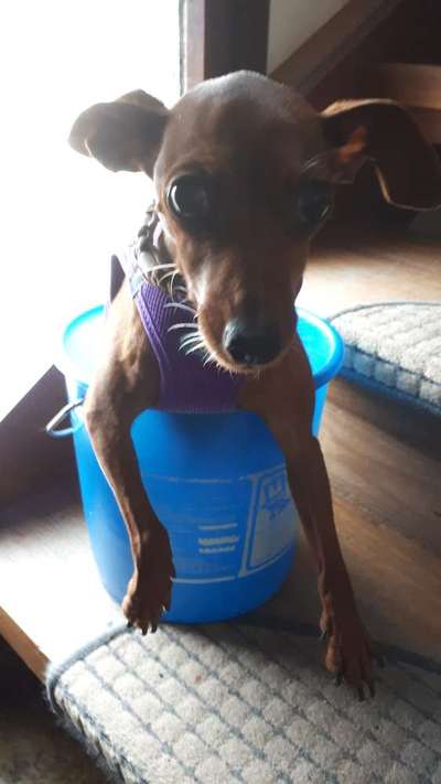 Hier ist der Spaßthread. Zum Schmunzeln und Kaputtlachen-Beitrag-Bild